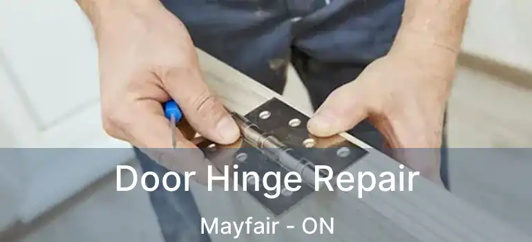  Door Hinge Repair Mayfair - ON
