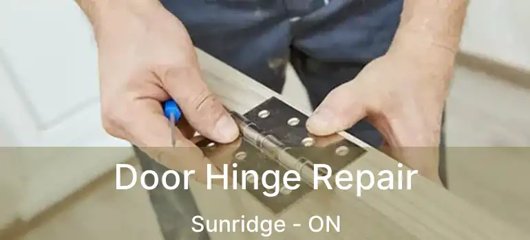  Door Hinge Repair Sunridge - ON