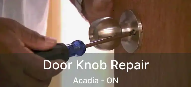  Door Knob Repair Acadia - ON