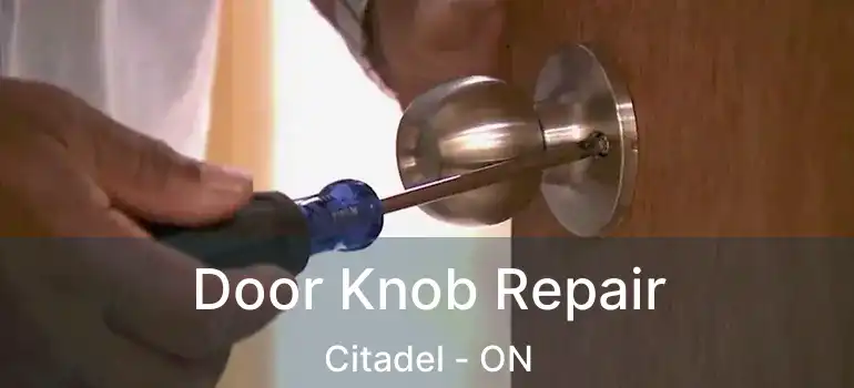  Door Knob Repair Citadel - ON