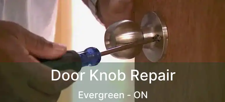  Door Knob Repair Evergreen - ON