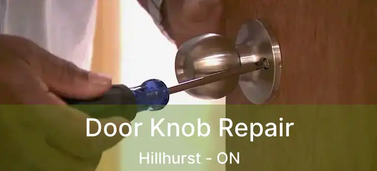  Door Knob Repair Hillhurst - ON
