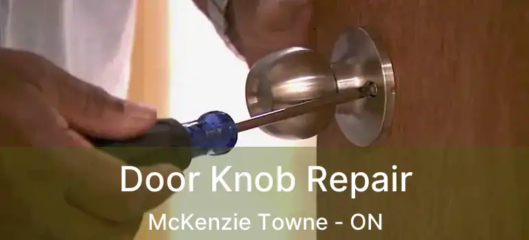  Door Knob Repair McKenzie Towne - ON