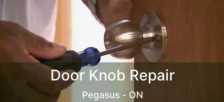  Door Knob Repair Pegasus - ON