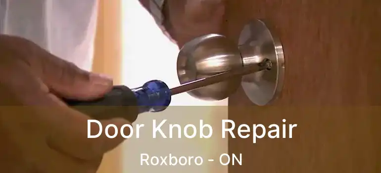  Door Knob Repair Roxboro - ON