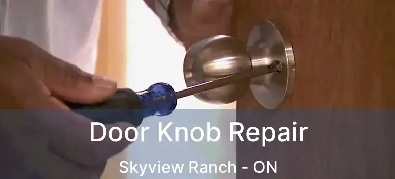  Door Knob Repair Skyview Ranch - ON