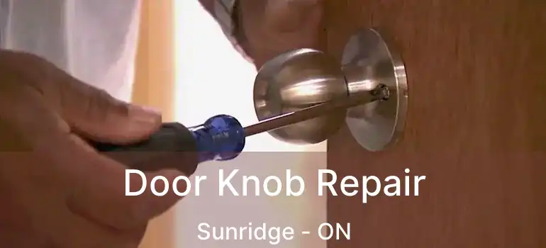  Door Knob Repair Sunridge - ON