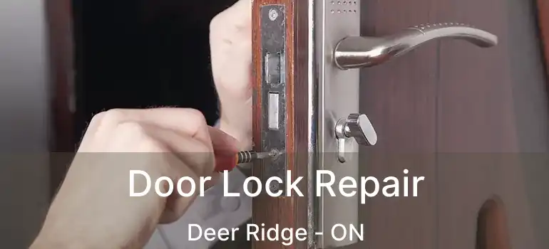  Door Lock Repair Deer Ridge - ON