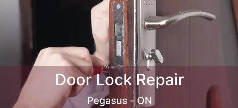  Door Lock Repair Pegasus - ON