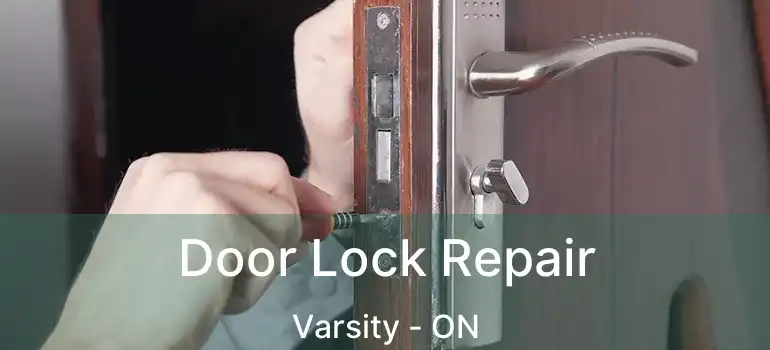  Door Lock Repair Varsity - ON