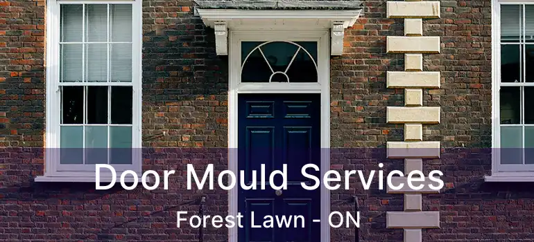  Door Mould Services Forest Lawn - ON