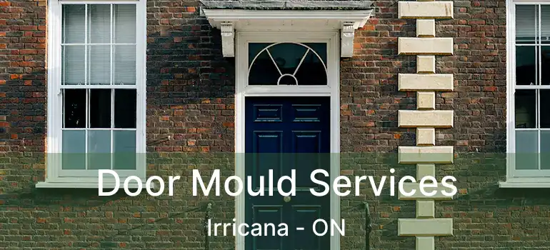  Door Mould Services Irricana - ON