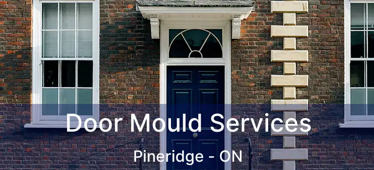  Door Mould Services Pineridge - ON