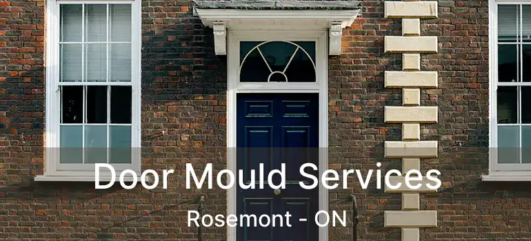  Door Mould Services Rosemont - ON