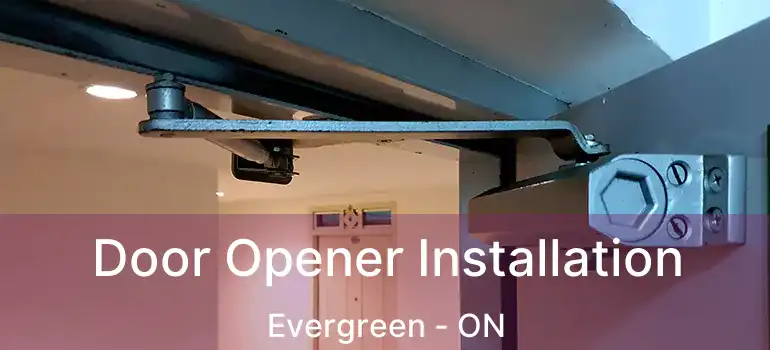  Door Opener Installation Evergreen - ON