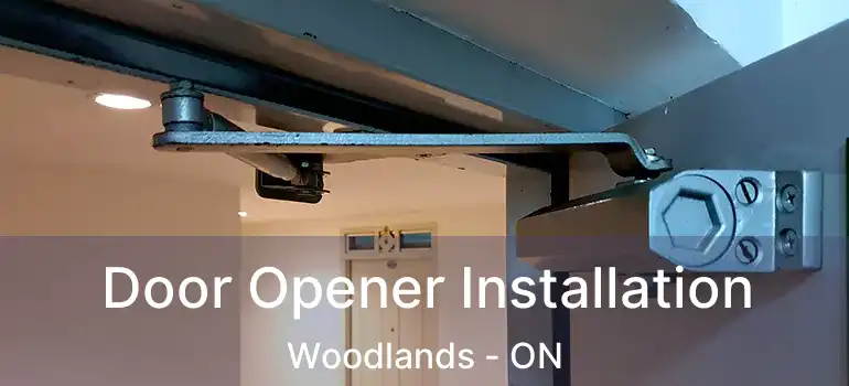  Door Opener Installation Woodlands - ON