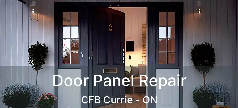  Door Panel Repair CFB Currie - ON