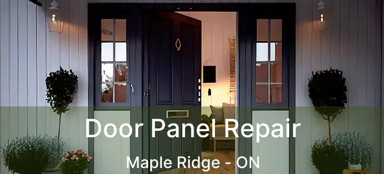 Door Panel Repair Maple Ridge - ON