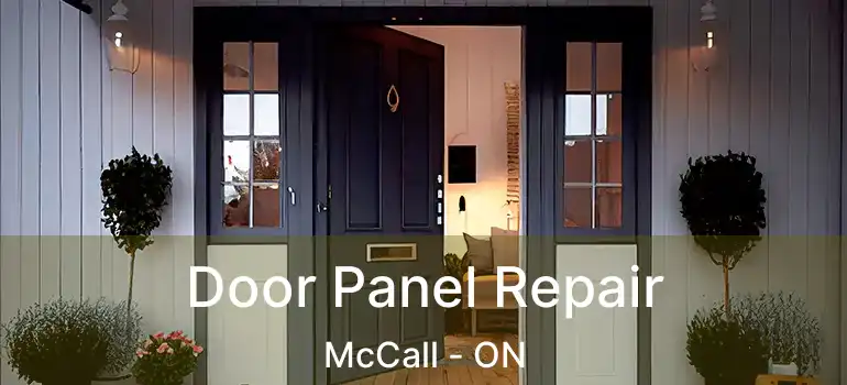 Door Panel Repair McCall - ON