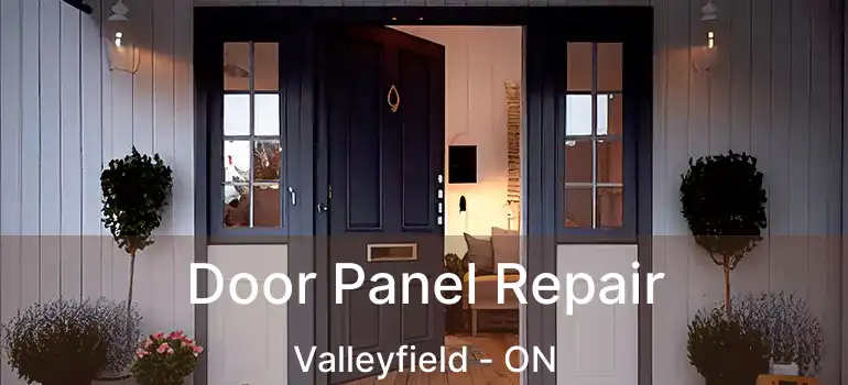  Door Panel Repair Valleyfield - ON