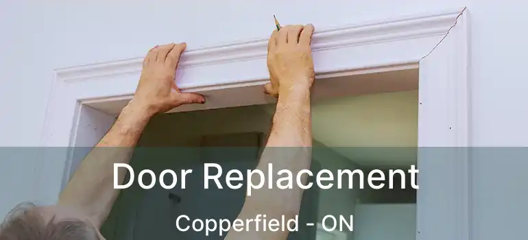 Door Replacement Copperfield - ON