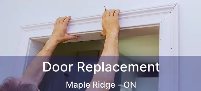  Door Replacement Maple Ridge - ON