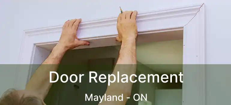  Door Replacement Mayland - ON