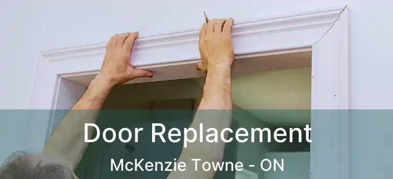  Door Replacement McKenzie Towne - ON