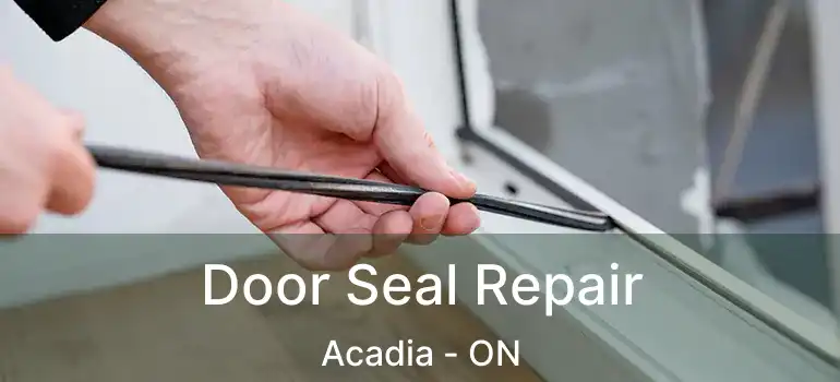  Door Seal Repair Acadia - ON