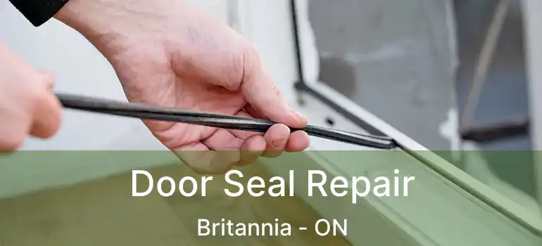  Door Seal Repair Britannia - ON