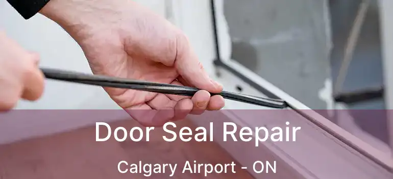  Door Seal Repair Calgary Airport - ON