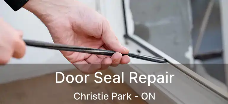  Door Seal Repair Christie Park - ON