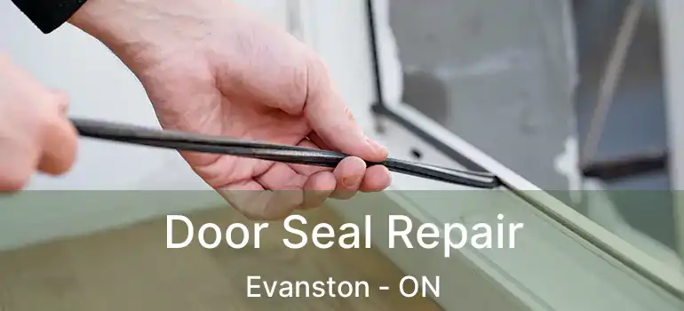  Door Seal Repair Evanston - ON