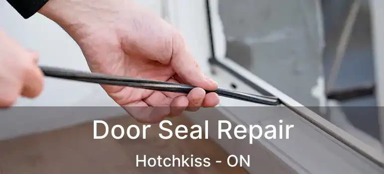  Door Seal Repair Hotchkiss - ON