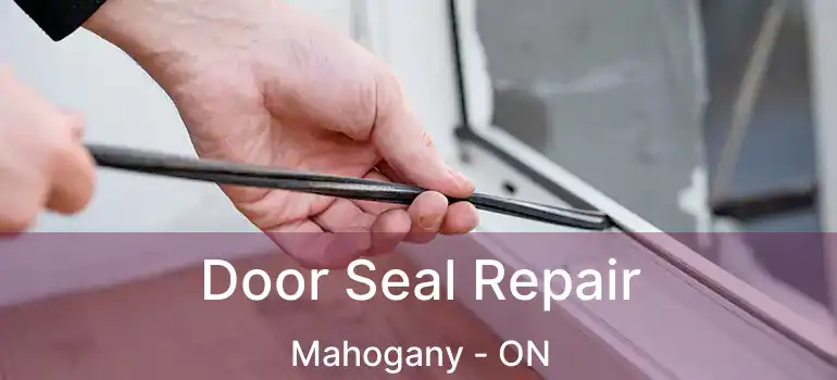  Door Seal Repair Mahogany - ON