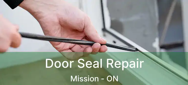  Door Seal Repair Mission - ON