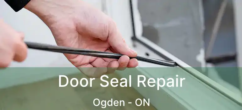  Door Seal Repair Ogden - ON