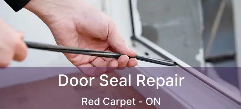  Door Seal Repair Red Carpet - ON