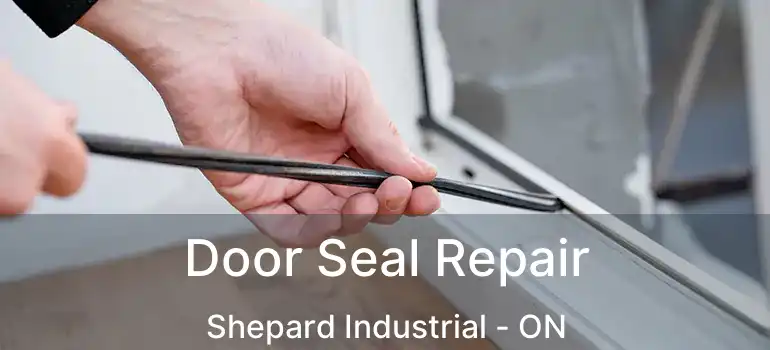  Door Seal Repair Shepard Industrial - ON