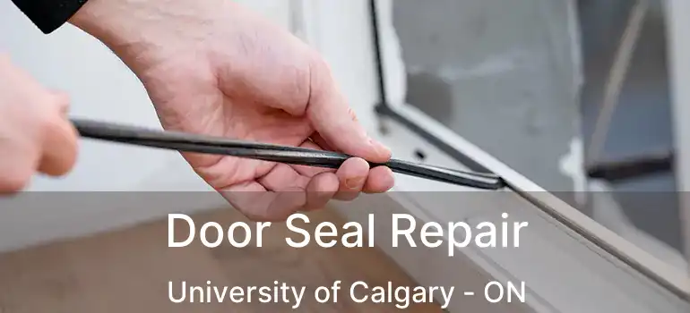  Door Seal Repair University of Calgary - ON