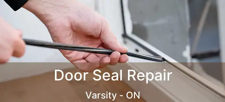  Door Seal Repair Varsity - ON