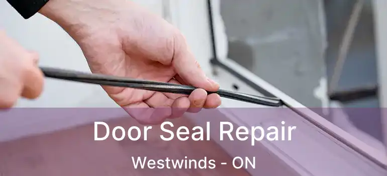  Door Seal Repair Westwinds - ON