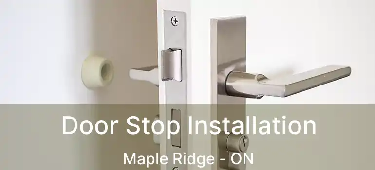  Door Stop Installation Maple Ridge - ON