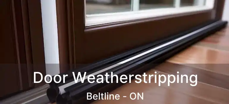  Door Weatherstripping Beltline - ON