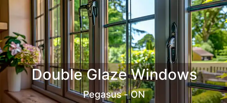  Double Glaze Windows Pegasus - ON