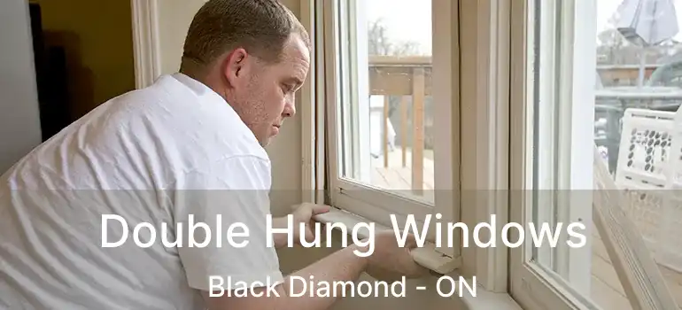  Double Hung Windows Black Diamond - ON