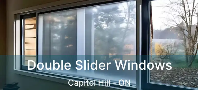  Double Slider Windows Capitol Hill - ON