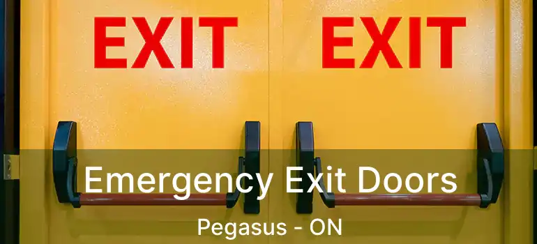  Emergency Exit Doors Pegasus - ON