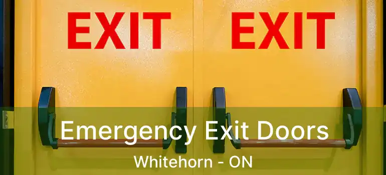  Emergency Exit Doors Whitehorn - ON