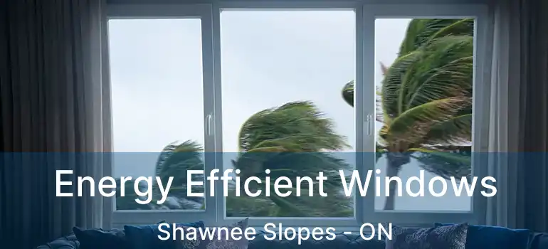  Energy Efficient Windows Shawnee Slopes - ON